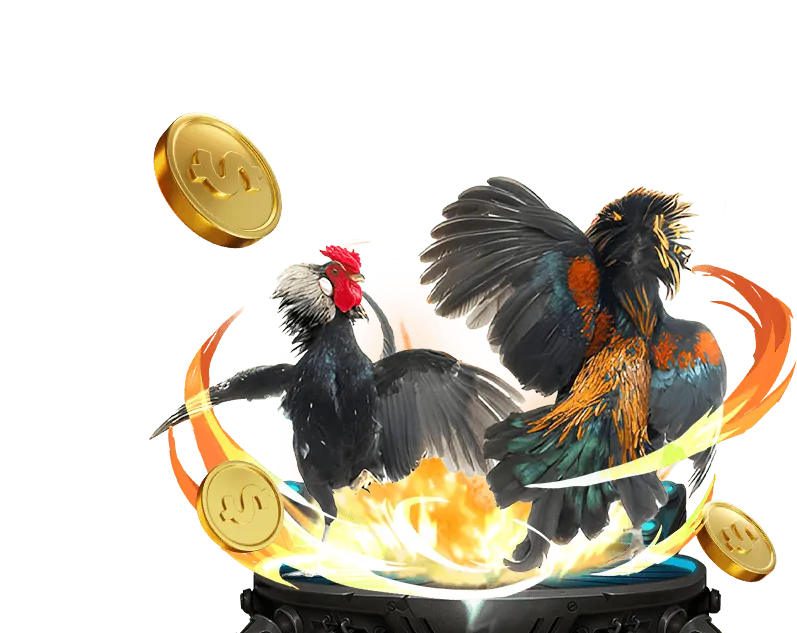 Nền tảng cá cược đá gà an toàn và minh bạch